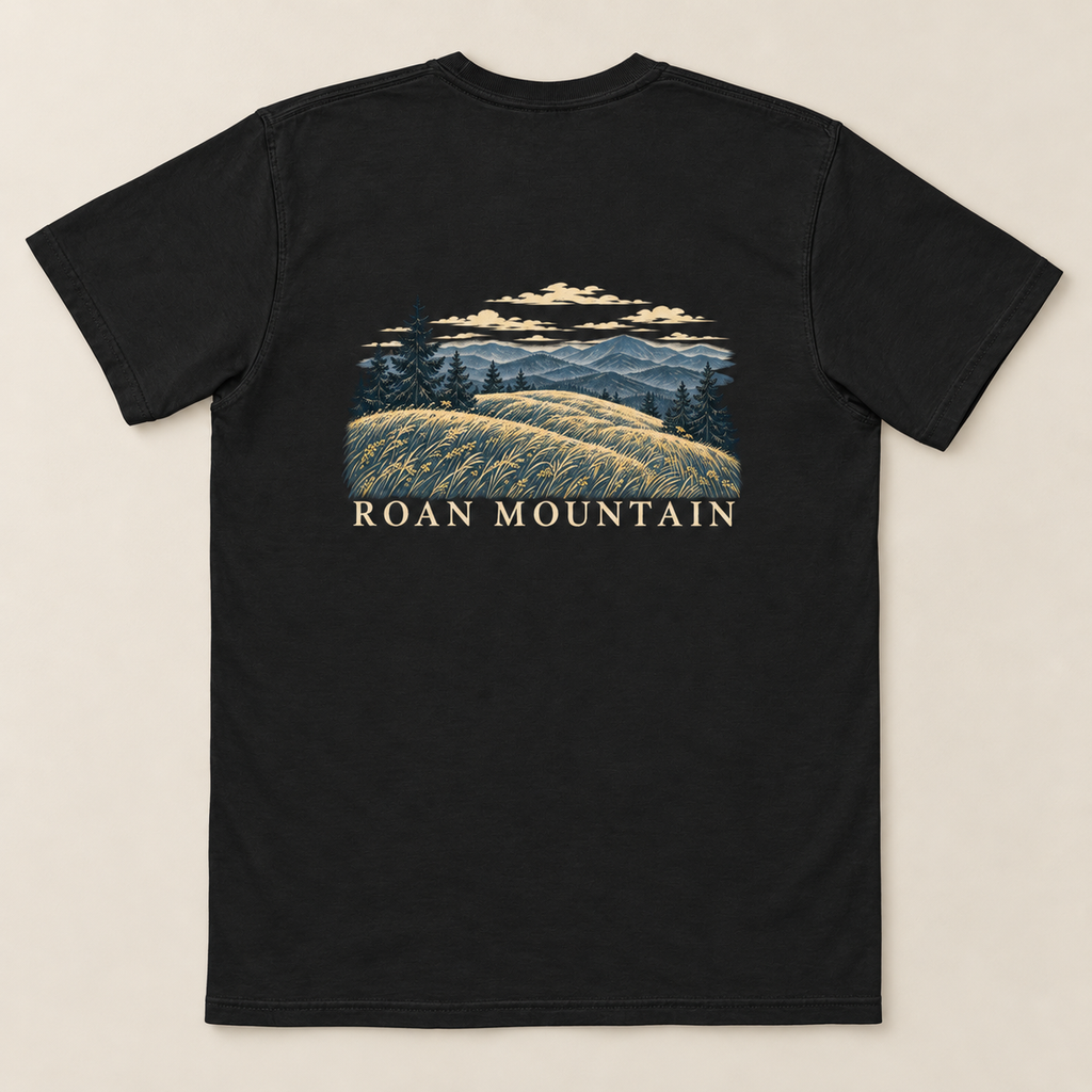 Roan Mountain Pocket Tee — Black, back view. Digital product mockup.