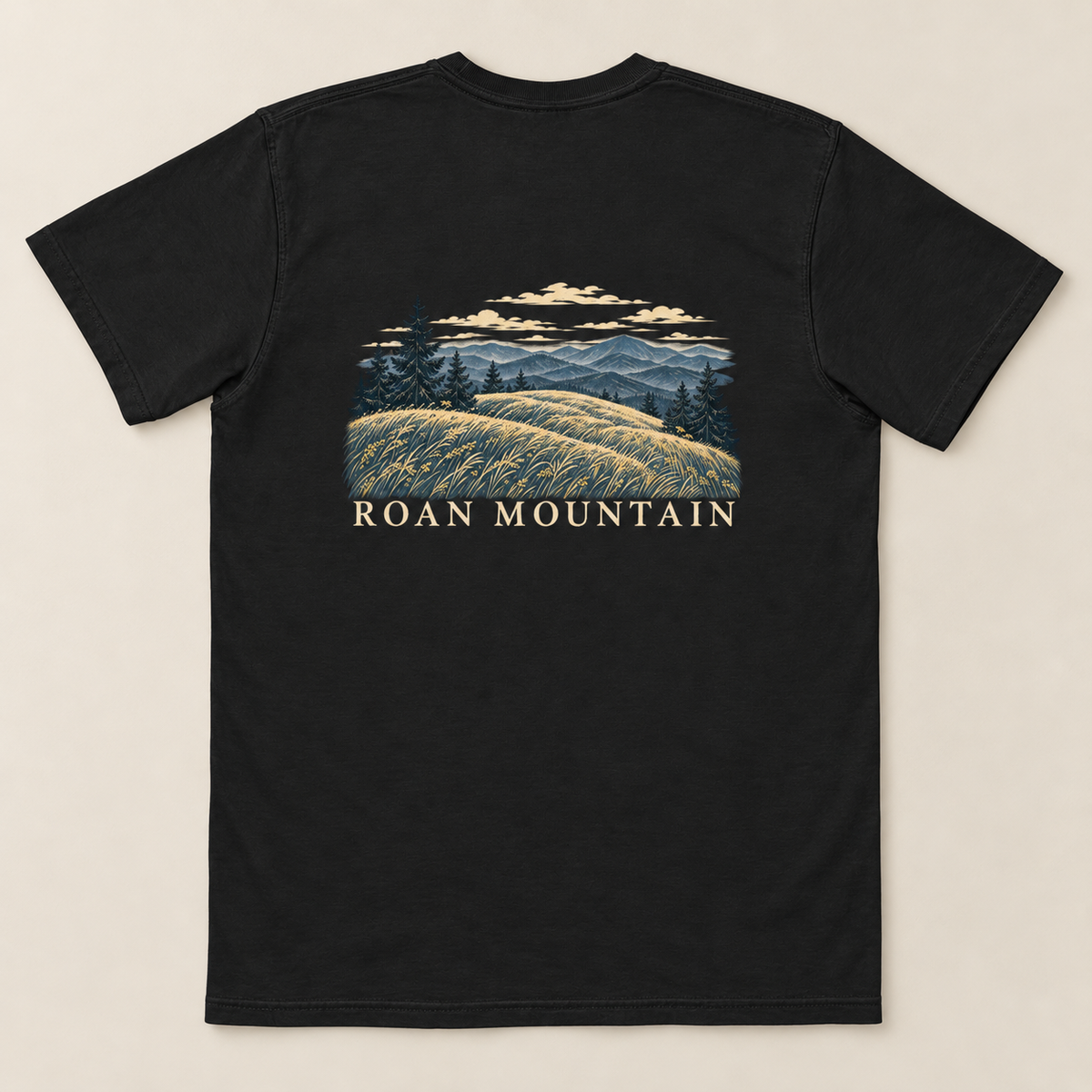 Roan Mountain Pocket Tee — Black, back view. Digital product mockup.