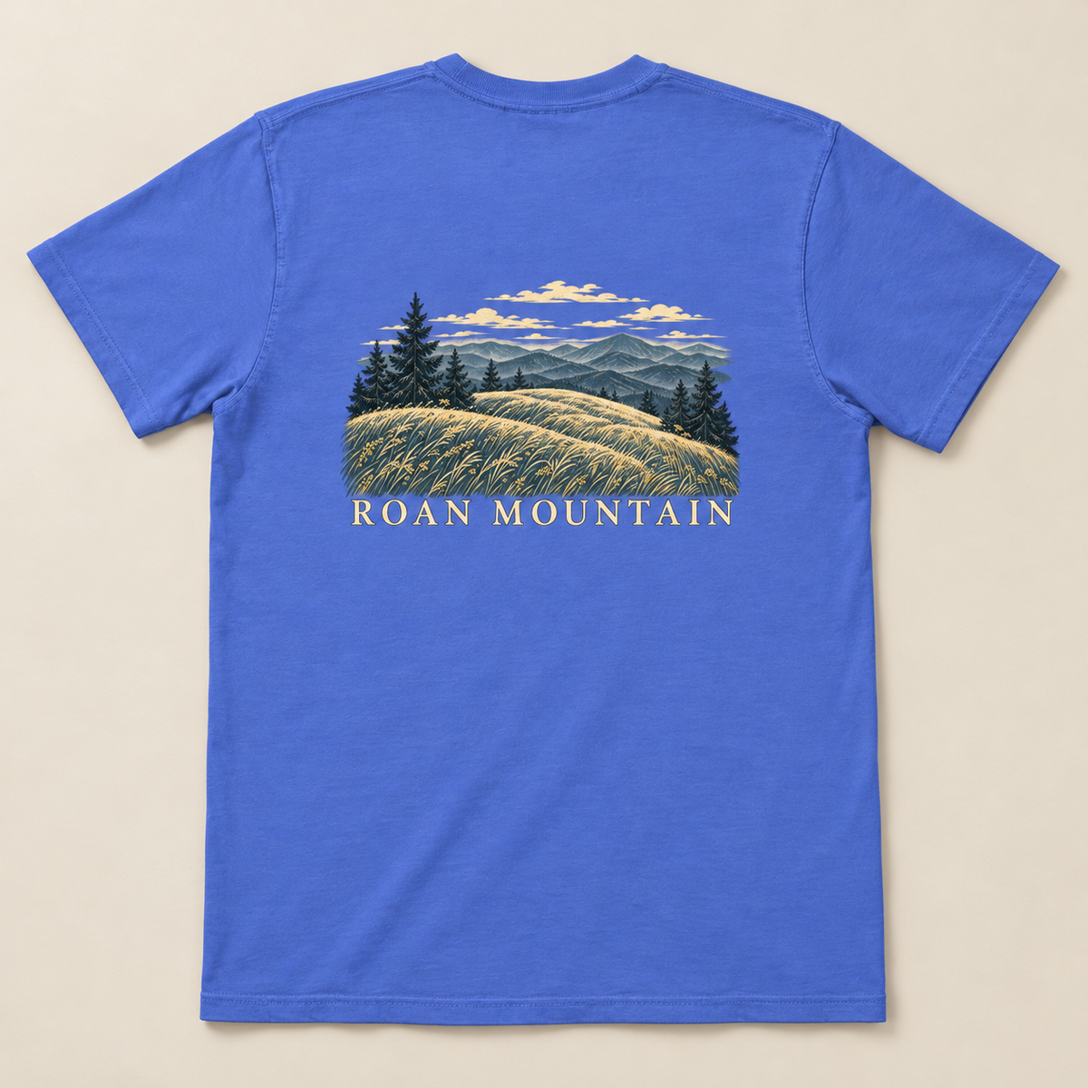 Roan Mountain Pocket Tee — Flo Blue, back view. Digital product mockup.