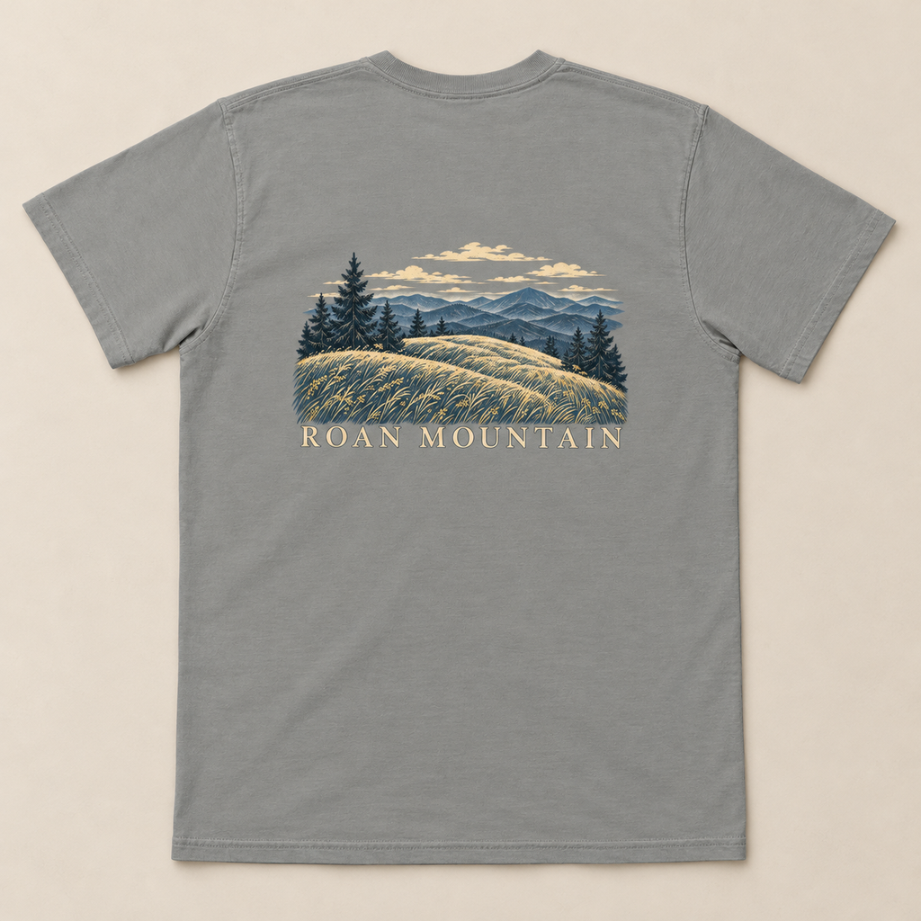 Roan Mountain Pocket Tee — Grey, back view. Digital product mockup.