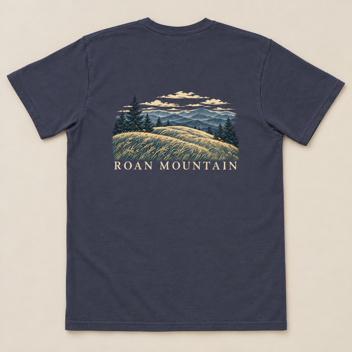 Roan Mountain Pocket Tee — True Navy, back view. Digital product mockup.